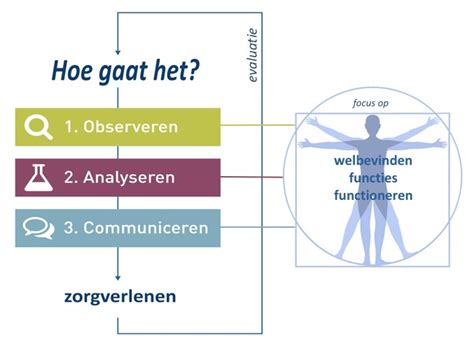 Klinisch Redeneren De Brug Tussen De Theorie En De Beroepspraktijk