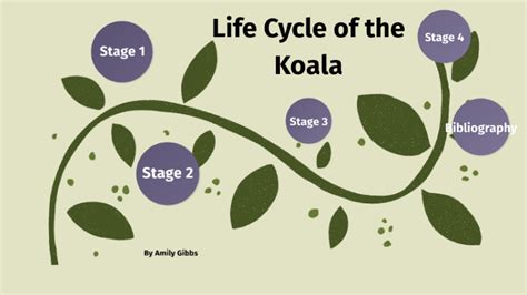 Life Cycle of the koala by Amily Gibbs