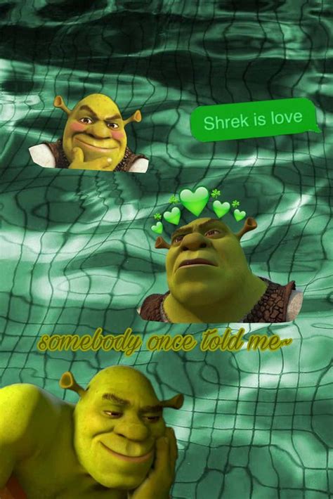 Download Shrek Meme Collage Wallpaper