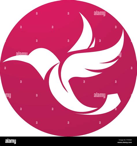 Hummingbird Icon Logo And Symbols Template Vector Stock Vector Image