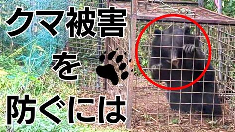 【長島カイセツ】広島でも目撃情報相次ぐ クマ被害の実態は？ Youtube