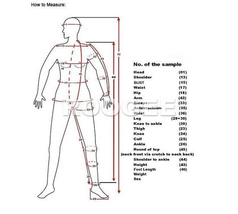 Come Prendere Le Misure Del Corpo Cerca Con Google