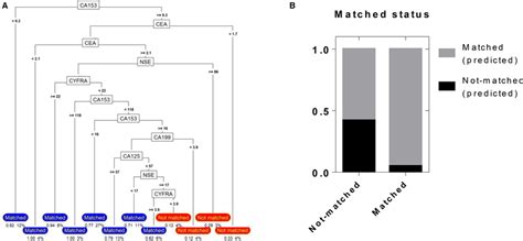 Performance of the decision tree model. A, The rules of the decision ...