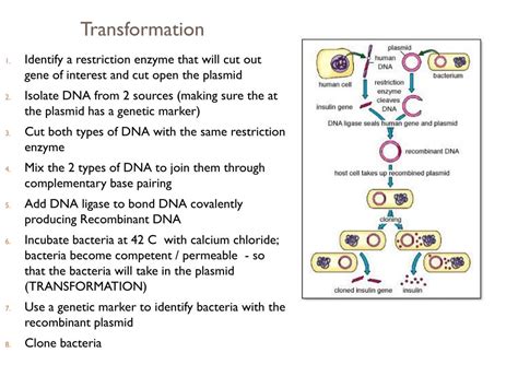 Ppt Transformation Powerpoint Presentation Free Download Id1600152