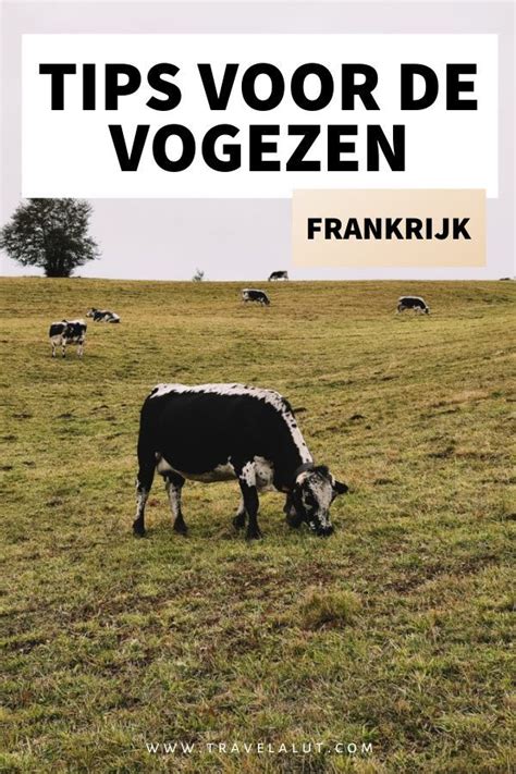 De Vogezen In Frankrijk Is Een Prachtige Regio Waar Je Heerlijk Kunt