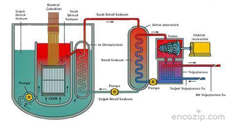 Nükleer Reaktör Nedir Ne İşe Yarar