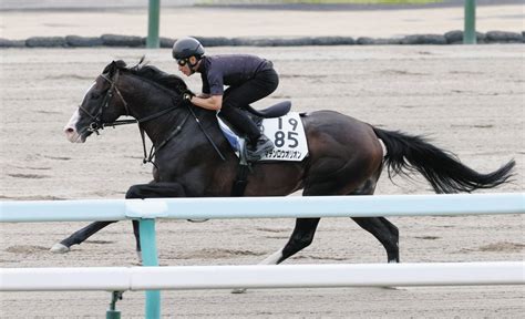 マテンロウオリオン、2年ぶりの複勝圏へ人事は尽くした 昆助手「いい動きでしたね。元気があったし、千二にも徐々に慣れていっている」：中日スポーツ