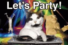 Party Cat GIFs | Tenor