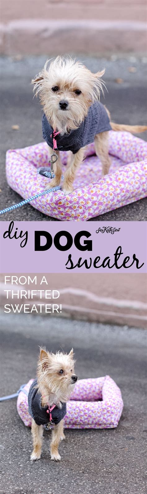 dog sweater sewing pattern and cute puppy pictures! | Cute puppy ...