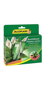 Algoflash Engrais Plantes Vertes Bouchon Doseur Inclus 750 Ml