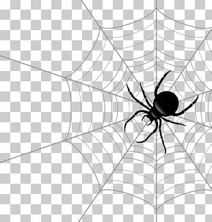 Spider Web Icon PNG Clipart Angle Area Black And White Circle