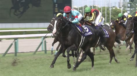 Jra Fun On Twitter イクイノックス が、宝塚記念giを優勝 上半期を締めくくるグランプリレースを見事に制す🏆