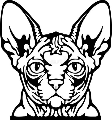 cats breed    art bundle stock photo illustration