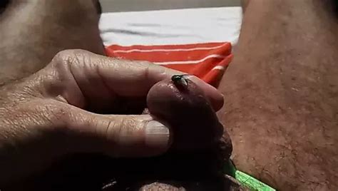 The Fly Gay Average Cock Masturbation Porn Feat Icumoveru XHamster