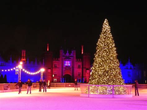 Fabulously Festive Photos Of London's Glowing Christmas Trees | Londonist