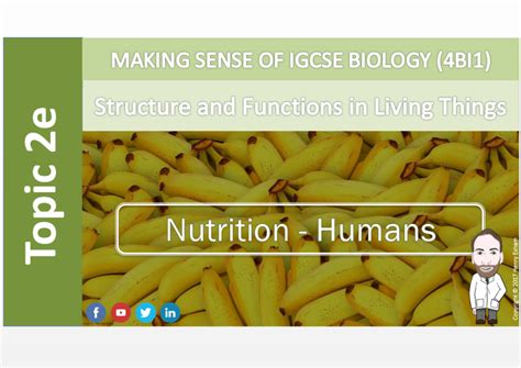 Are Responsible For The Structures And Functions Of Organisms.