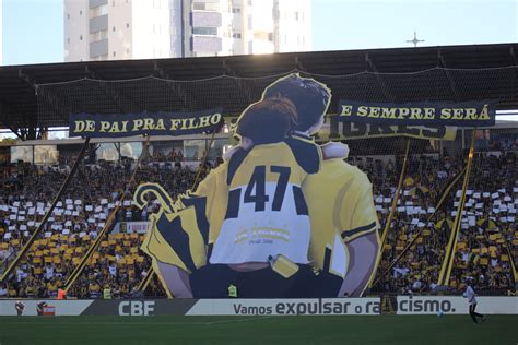 Tigre Torcida Dá Show Com Mosaico Em 3d Tn Sul Portal De Notícias