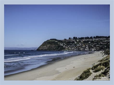 CDSC_5215 St Clair Beach View, Dunedin – Site Title