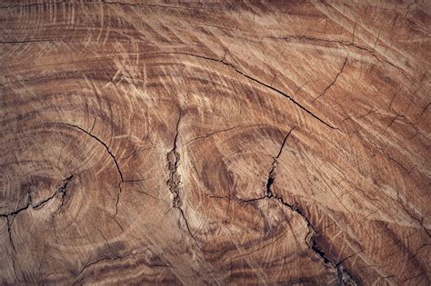 100000 Best Wood Photos · 100 Free Download · Pexels Stock Photos