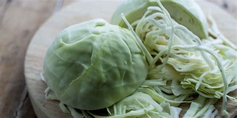 The Remarkable Health Benefits Of Cabbage MyHealthBooster