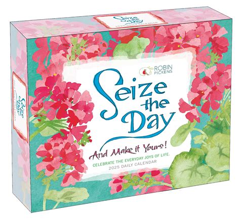 Amazon Seize The Day 2025 Boxed Daily Desk Calendar By Robin