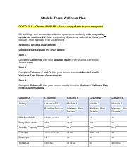 Module Three Wellness Plan Docx Module Three Wellness Plan Go To File