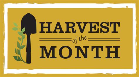 Harvest of the Month — Nourish