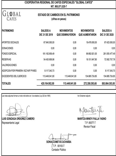 Estados Financieros Dic 2020 Global Cafés
