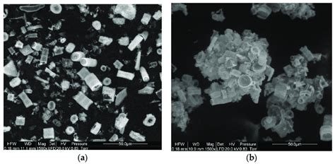 Images Of The Microstructure Of Diatoms From Diatomaceous Earth