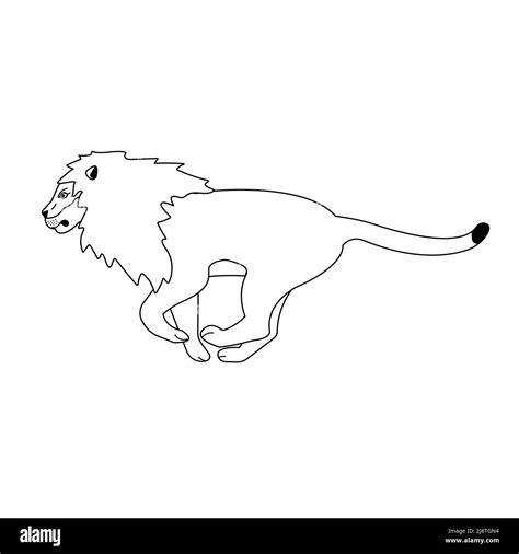 Vector flat running outline lion Stock Vector Image & Art - Alamy