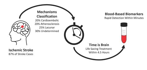 Diagnostics Free Full Text Blood Based Biomarkers Are Associated