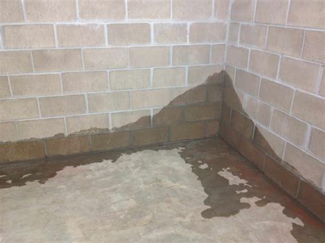 How to Waterproof Basement Walls | Denver Basement Wall Moisture