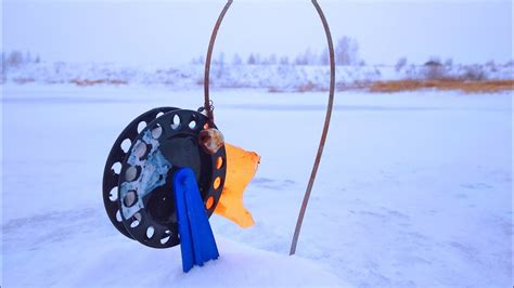 РЫБАЛКА-РАЗВЕДКА НА ЖЕРЛИЦЫ 23 НОЯБРЯ. - YouTube