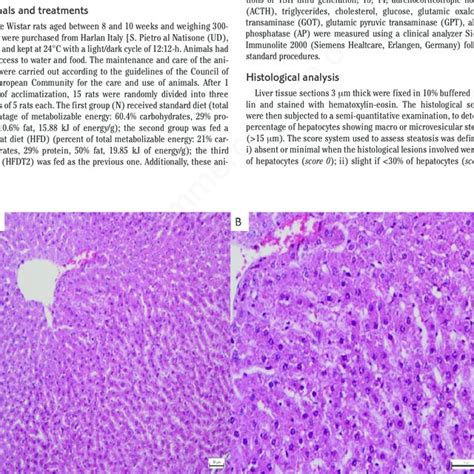 Histological Section Of Liver Tissue From Control Rats No Sign Of Download Scientific Diagram