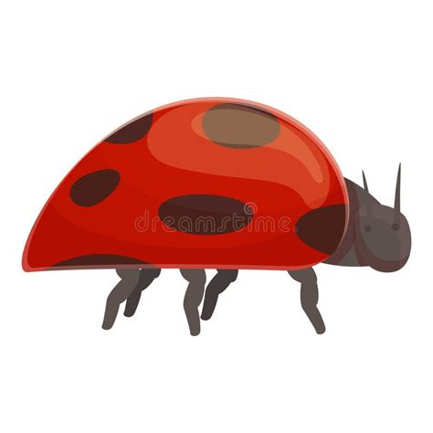 Vector Set Of Ladybug Stock Vector Illustration Of Cartoon 117707232