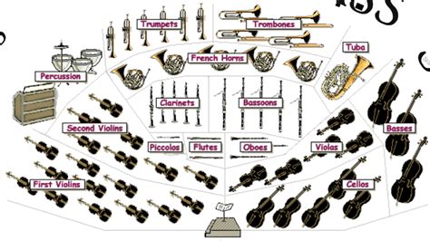 The Orchestra S Instrument Families By Lauren Serpa On Prezi