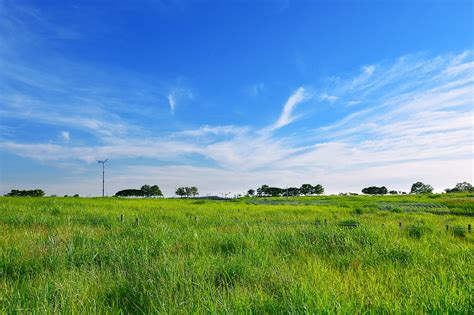 Grassland Green Grass Free Photo On Pixabay Pixabay