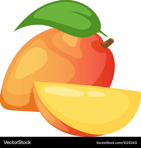 Mango Fruit Royalty Free Vector Image Vectorstock