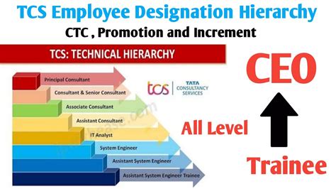 Tcs All Designation Level Tcs Employee Level Hierarchy Assistant