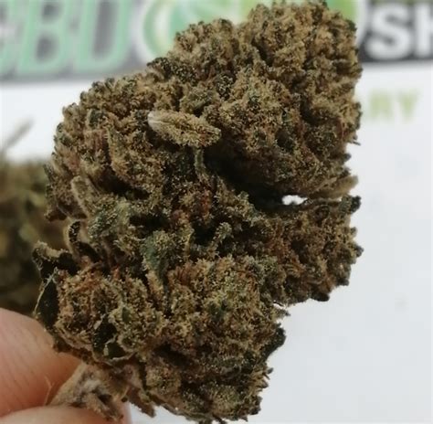 Pineapple Kush Top Shelf Strains- Buy Buds Online