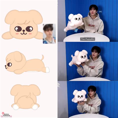 stray kids puppym plush lying ver  seungmin dominatecelebrate