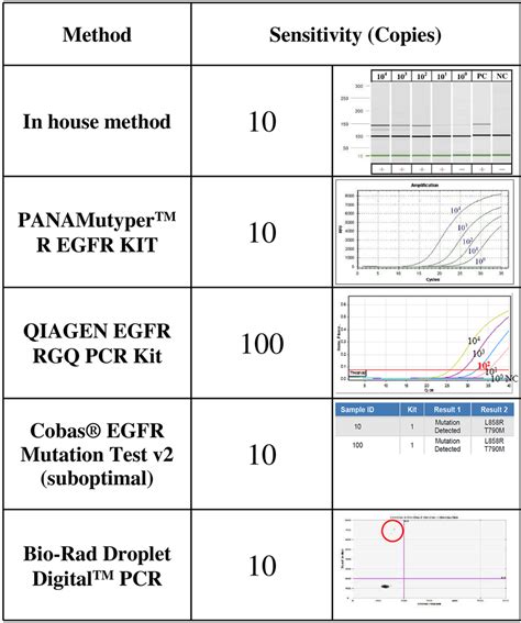 The Sensitivity Levels Of Egfr T790m Mutation Detection Using Different Download Scientific