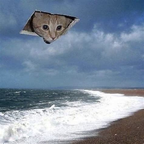 Naked Capitalism Finance Economics Politics Power Page 2 Of 2275