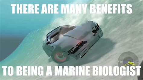 There Are Many Benefits To Being A Marine Biologist Youtube