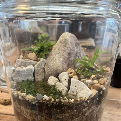 DIY Terrarium Workshop Brisbane Gifts ClassBento