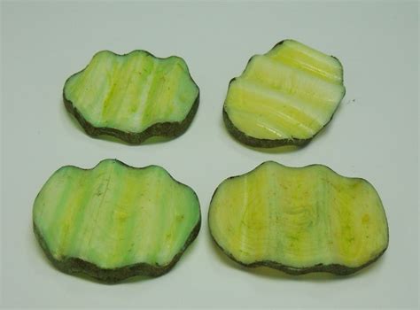 tutorial: miniature pickles | Miniature food tutorials, Chips, Clay