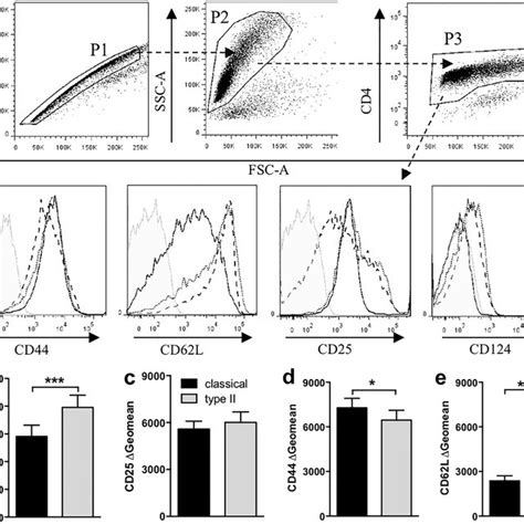 Type Ii Macrophages Reduced T Cell Activation Markers Macrophages Were