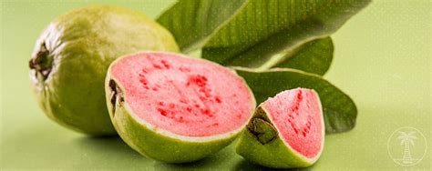 Fun Facts and Health Benefits of Guava | Tropical Box — Tropical Box