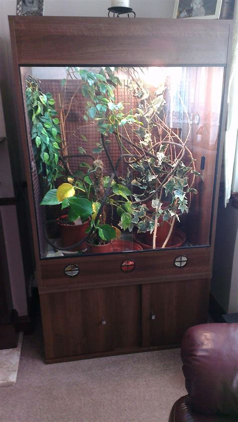 Se England Custom Built Arboreal Vivarium And Cabinet Reptile Forums