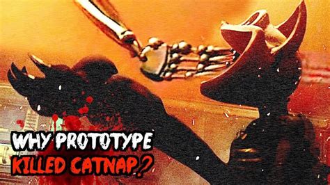 For Those Who May Not Know Why The Prototype Killed Catnap Theory